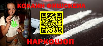 индика Славгород