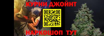 индика Славгород