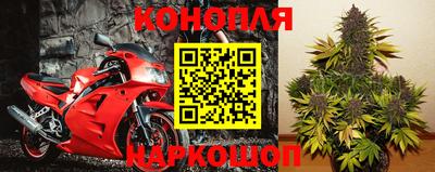индика Славгород