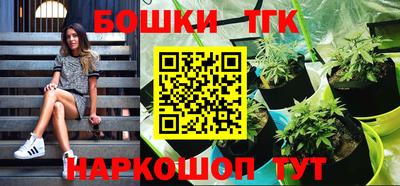 индика Славгород