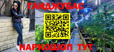индика Славгород