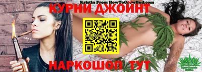 индика Славгород