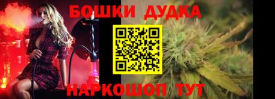 индика Славгород